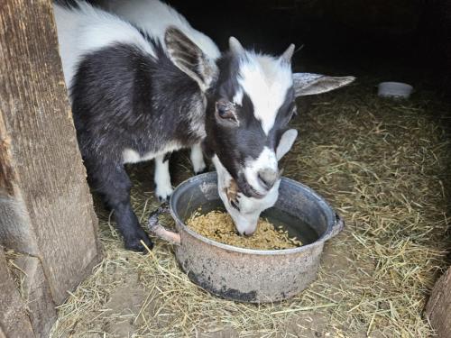 117Den_Otevreni_Skolky_2-6-2025