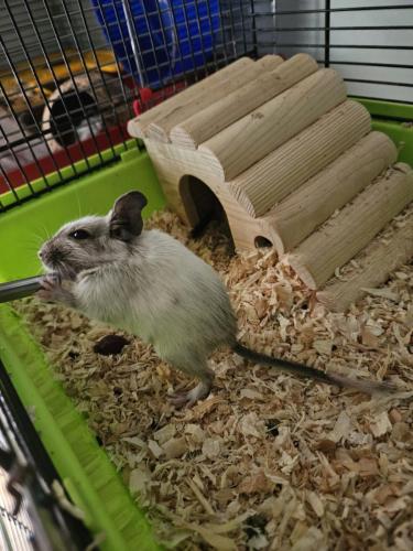 118Den_Otevreni_Skolky_2-6-2025